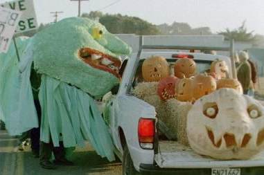 Big Pumpkins