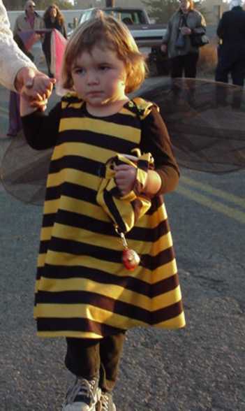 Somber Bumblebee