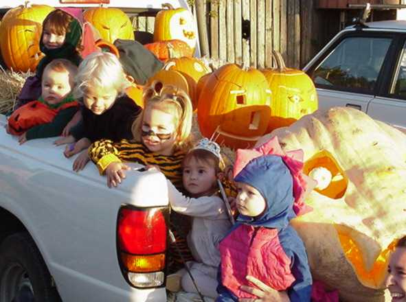 Pumpkins