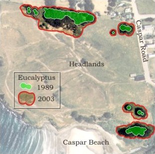 map view of Eucalyptus Encroachment on the Caspar Headlands