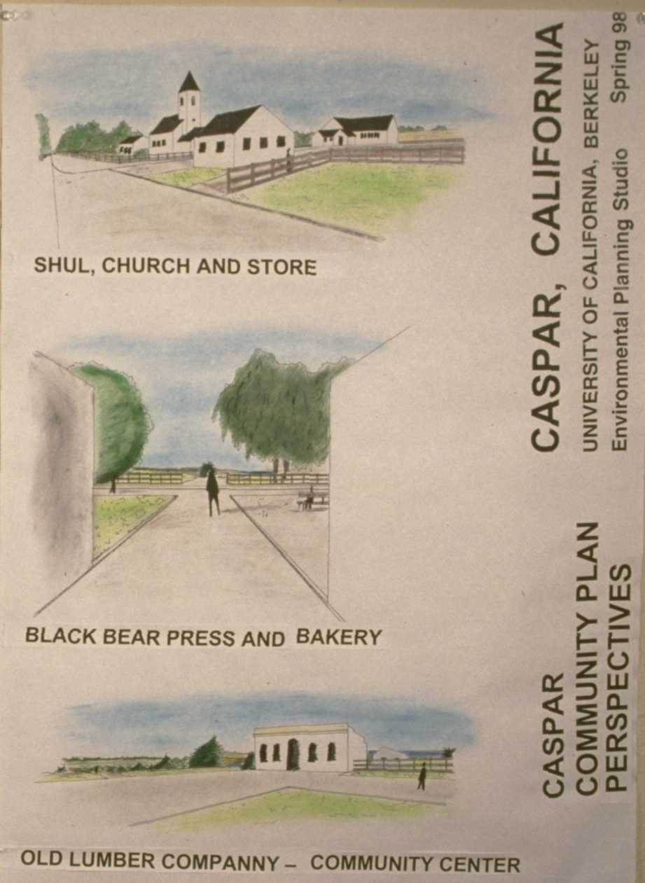 CommunityPlanPerspectives.jpg - 72715 Bytes