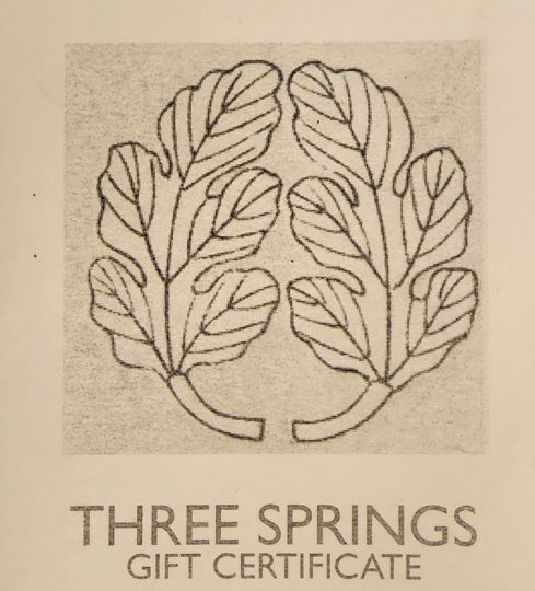 Jessica Curl: Three Springs Institute