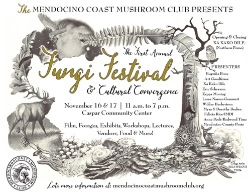 Mendocino Coast Mushroom Club Fungi Fair at Caspar Community Center on Saturday, November 16, from 11 am - 7pm.