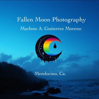 Fallen Moon Photography logo